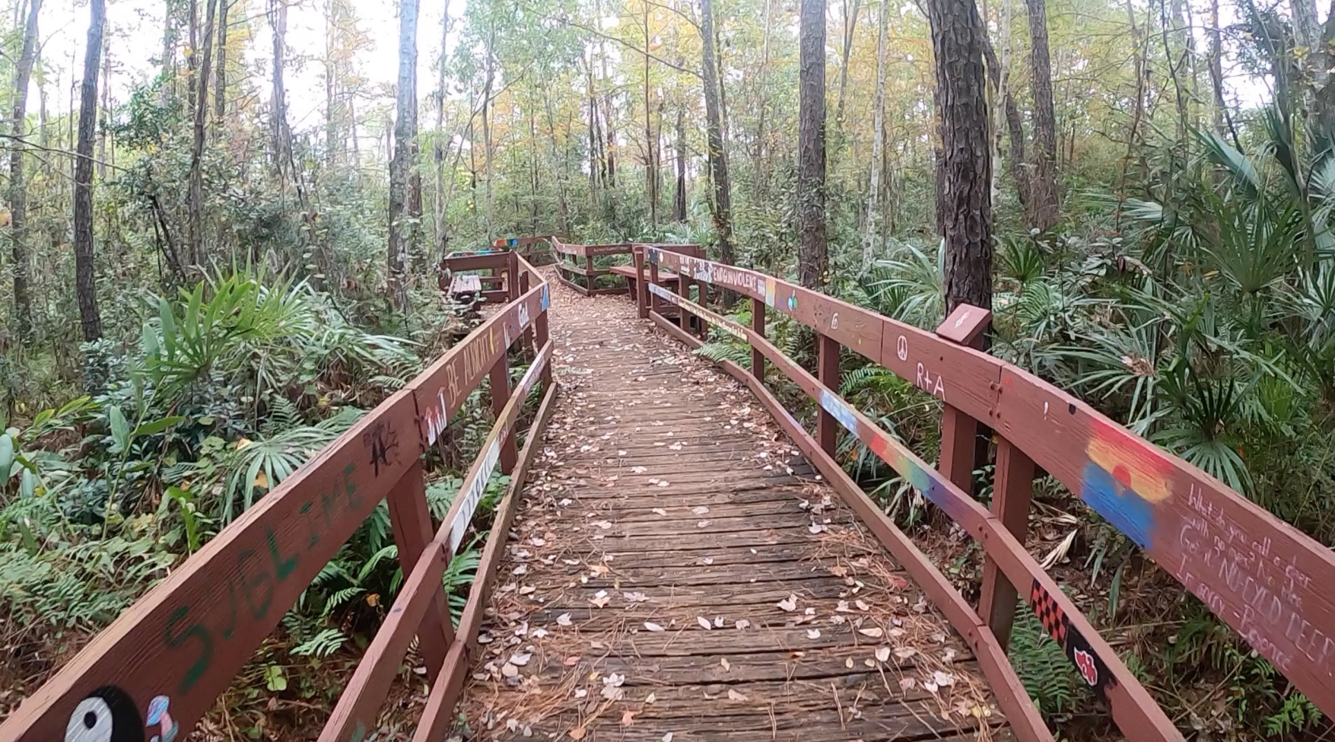 (this one)Trail 1